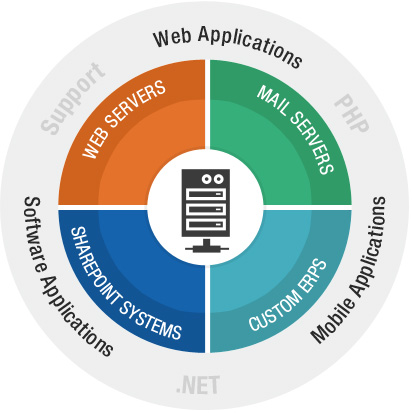 web servers, mail servers, SharePoint systems and Custom ERPs