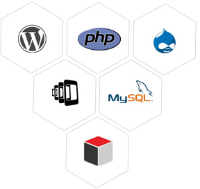 PHP Web & LAMP Development Services